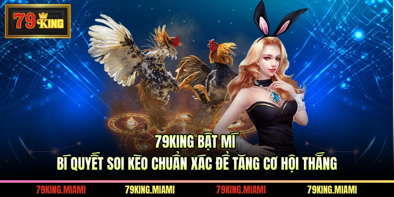 79KING bật mí bí quyết soi kèo chuẩn xác để tăng cơ hội thắng