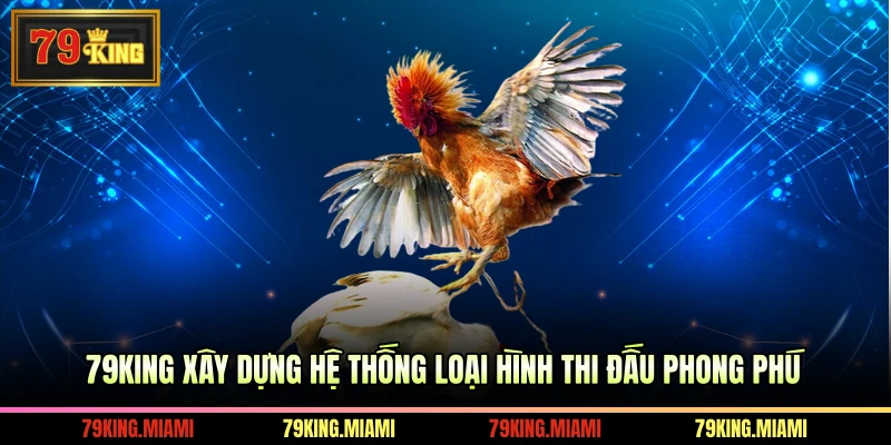 79KING xây dựng hệ thống loại hình thi đấu phong phú