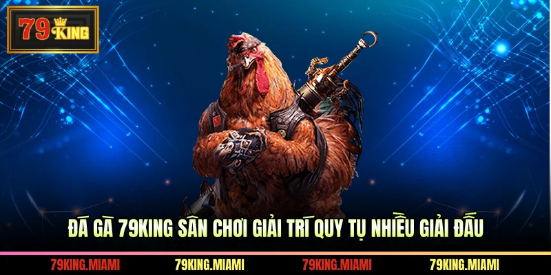 Đá Gà 79KING Sân Chơi Giải Trí Quy Tụ Nhiều Giải Đấu
