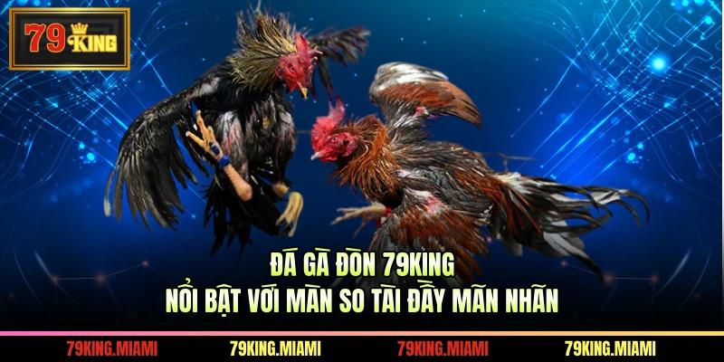 Đá Gà Đòn 79KING Nổi Bật Với Màn So Tài Đầy Mãn Nhãn