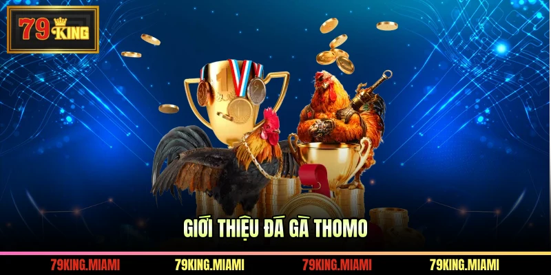 Giới thiệu đá gà Thomo