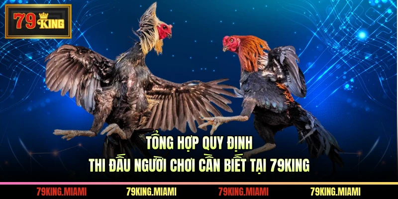 Tổng hợp quy định thi đấu người chơi cần biết tại 79KING